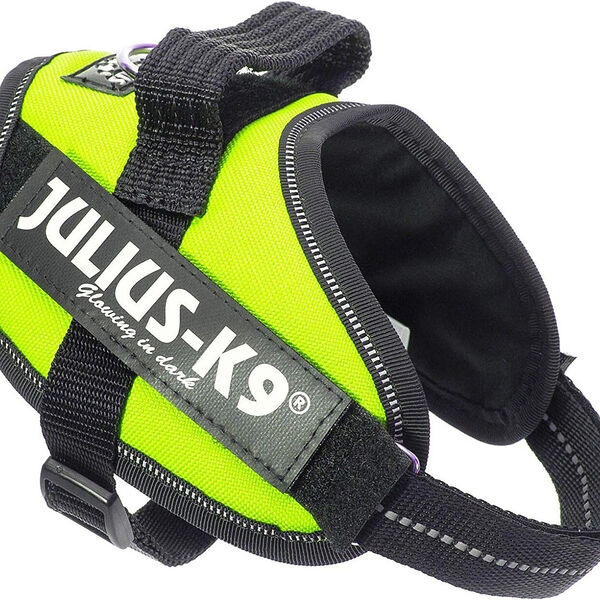JULIUS-K9 шлейка для собак IDC-Powerharness Mini-Mini (4-7 кг) 40-53 см., Синий