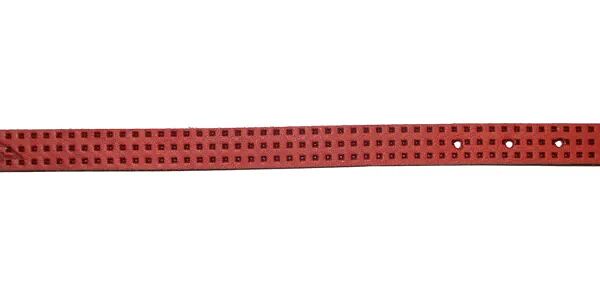 Ошейник для собак мелких пород тиснение красный 22-29 х1,4 см