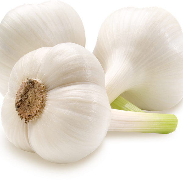 Чеснок молодой
