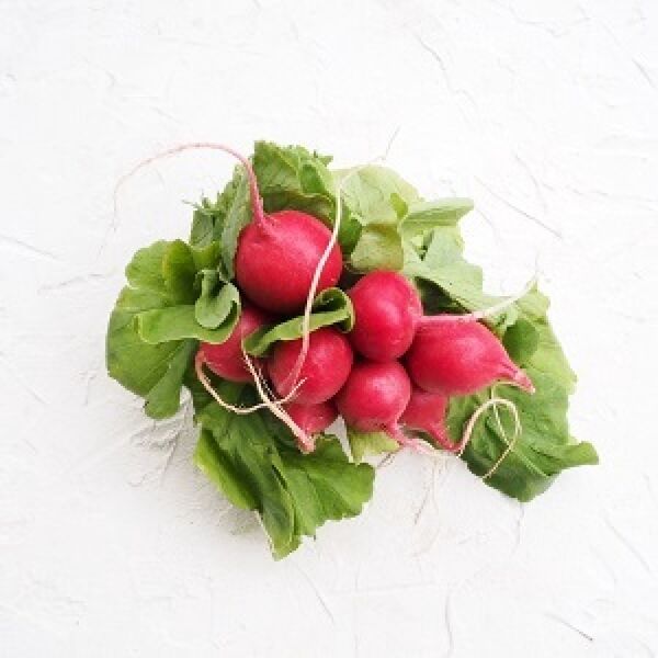 Пучок редиски