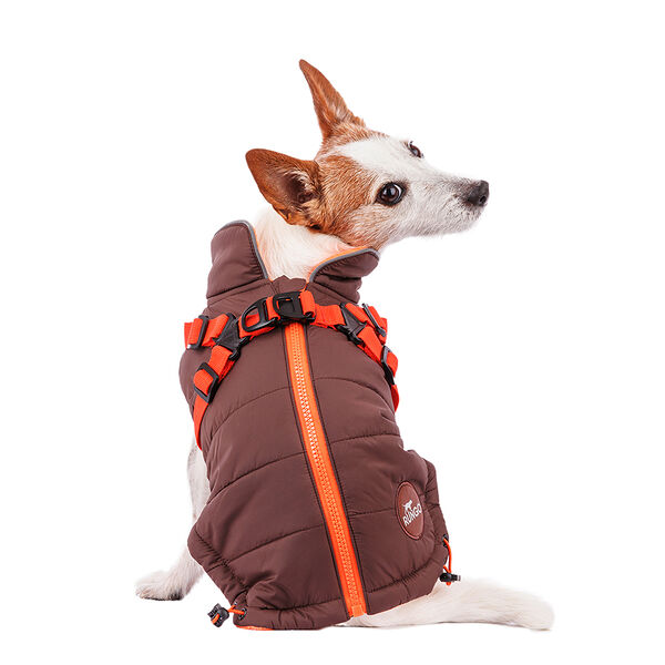 Попона для собак теплая со шлейкой коричневая M