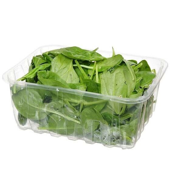 Шпинат молодой