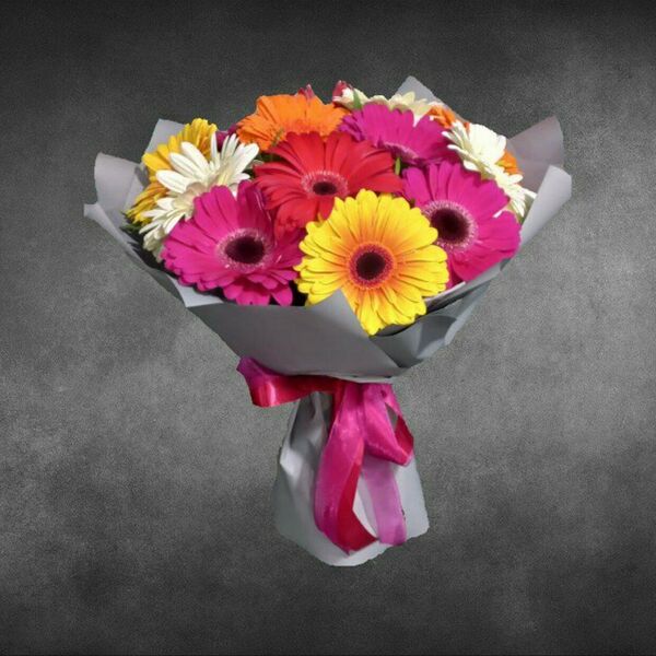 Радужная гербера