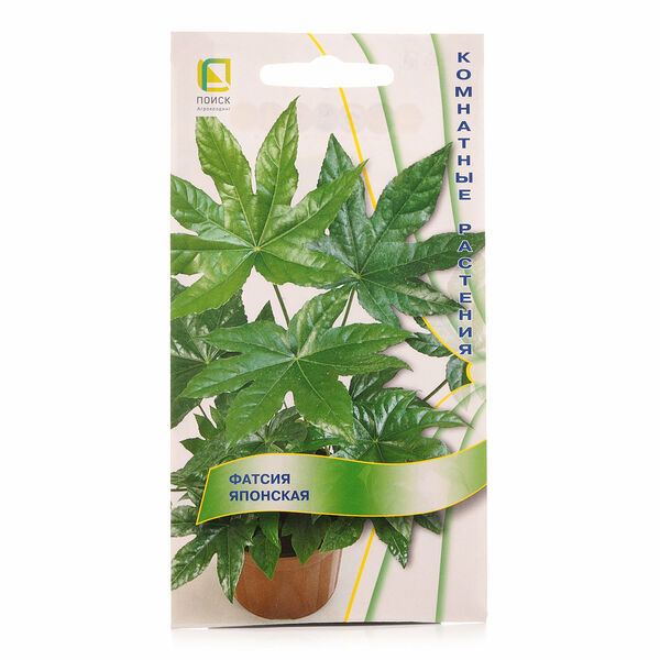 Фатсия японская ТМ Поиск агрохолдинг