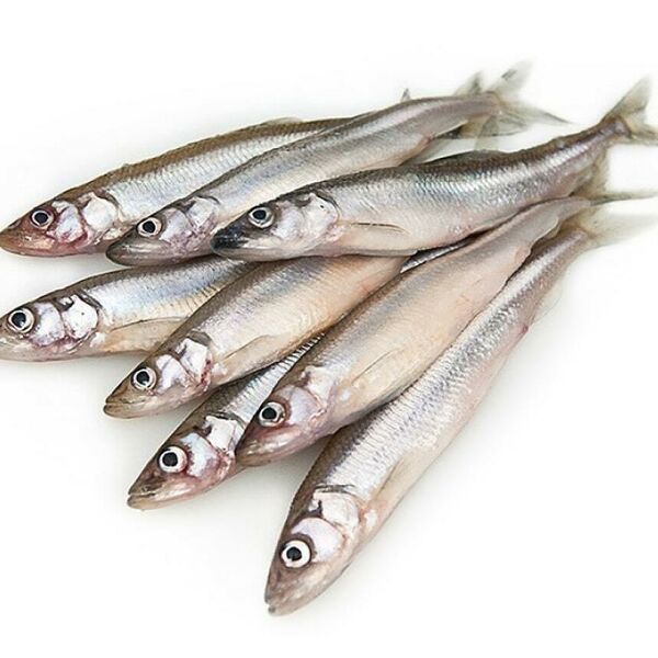 Мойва неразделанная свежемороженая