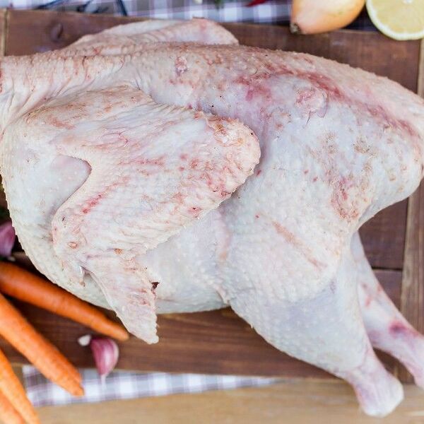 Индейка, 3-5 кг