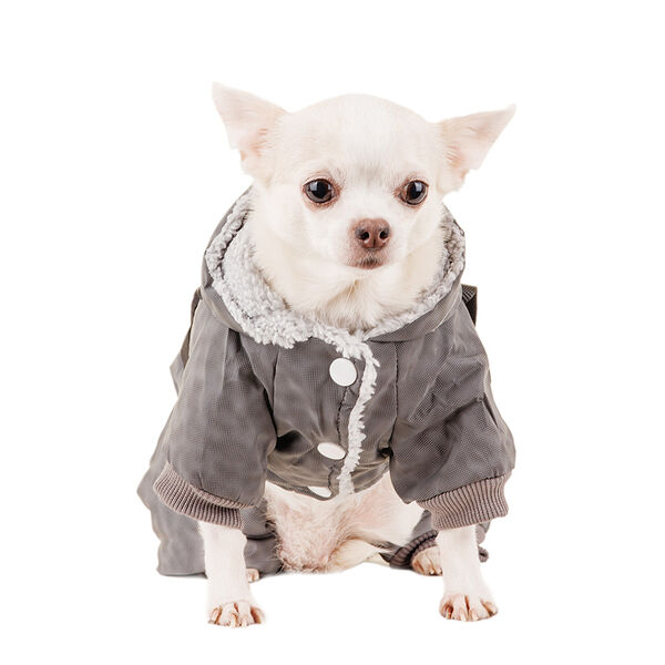 Комбинезон светоотражающий для собак Petmax XS серый (унисекс)