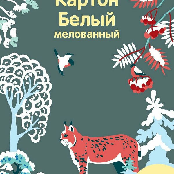 Белый картон Комус Класс, А4, мелованный, 20 листов