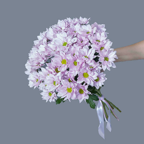 Монобукет из 5 кустовых лавандовых Хризантем Ирис