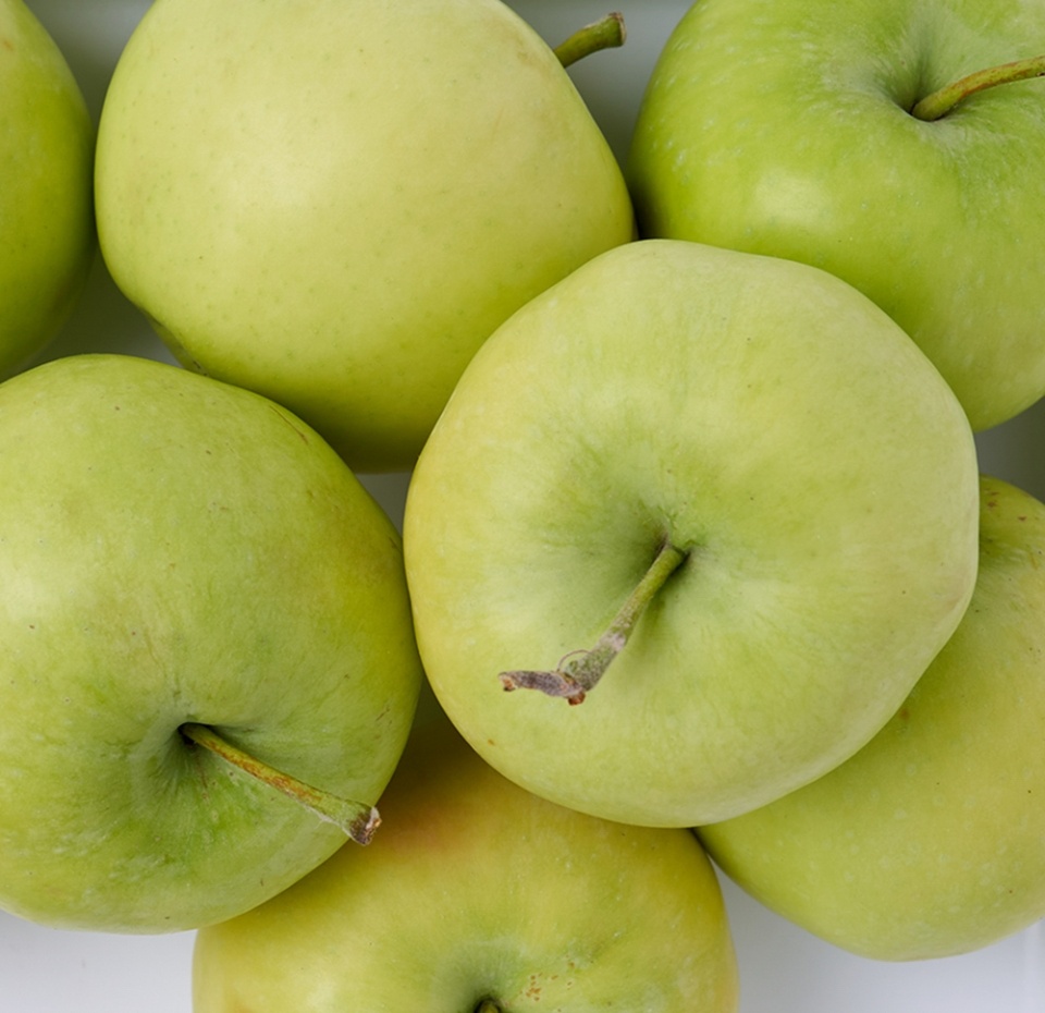 

Яблоки Белый налив Россия