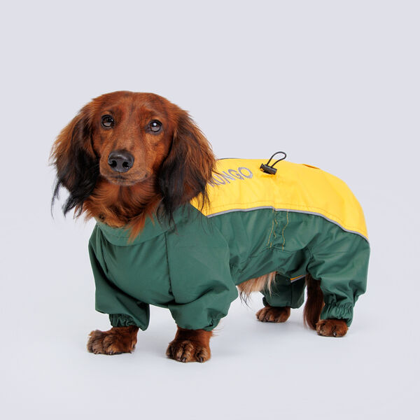 Дождевик с мембраной и резиновой молнией для карликовой таксы, L, 33х32х52 см, банан (мальчик)