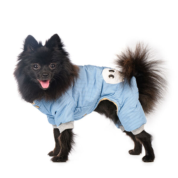 Комбинезон для собак S голубой (унисекс)