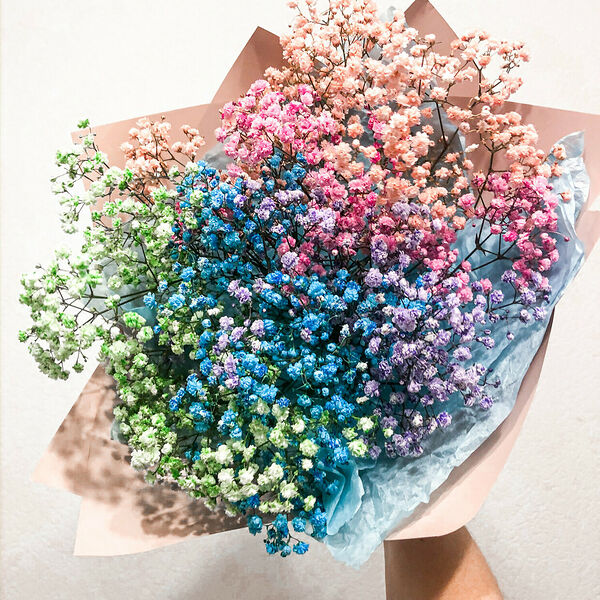 Радужная Гипсофила