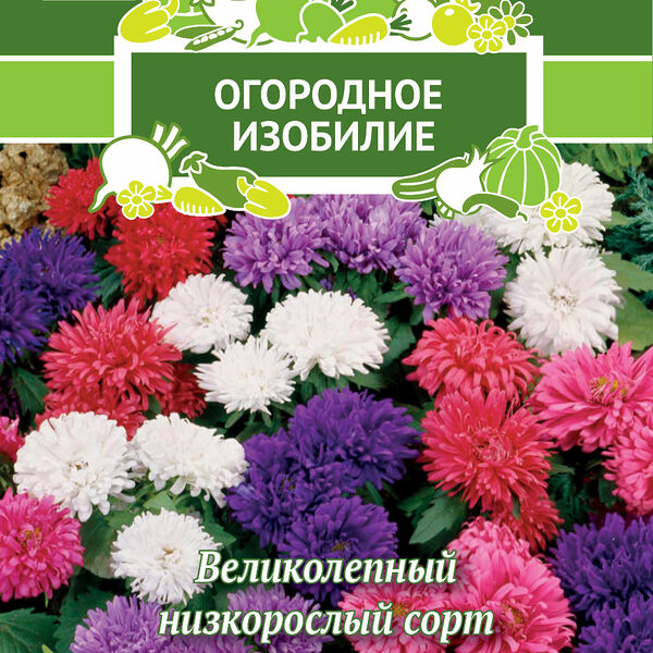 Семена Поиск Астра низкорослая Ковер смесь окрасок 0.2 г