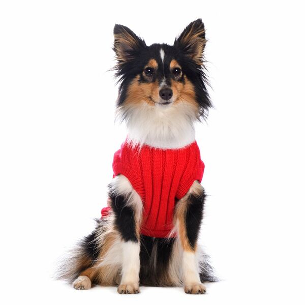 Свитер для собак 2XL красный (унисекс)