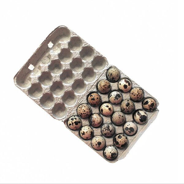 Яйца перепелиные Отборные 20 шт, Россия