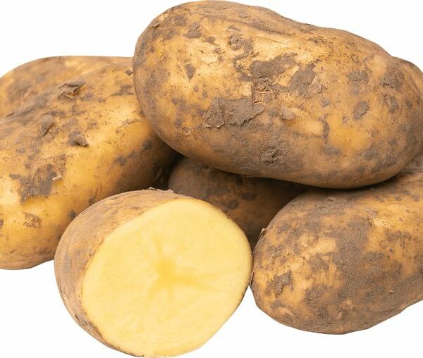 Картофель ранний отечественный вес