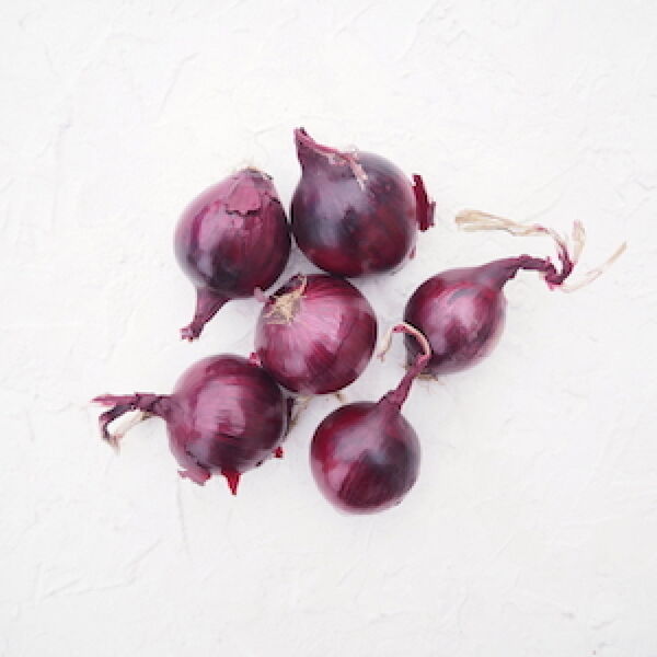 Красный лук