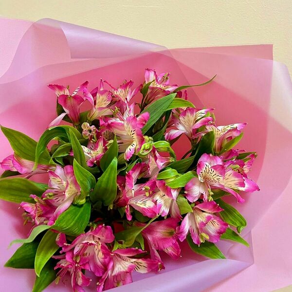 Букет альстромерий