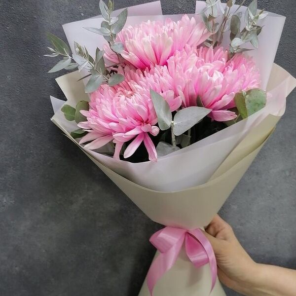 Хризантемы