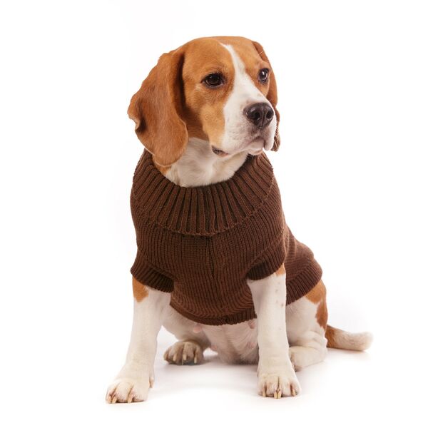 Свитер для собак 50см 3XL коричневый (унисекс)