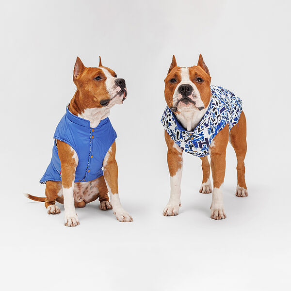 Жилетка двусторонняя для собак, 4XL, синяя