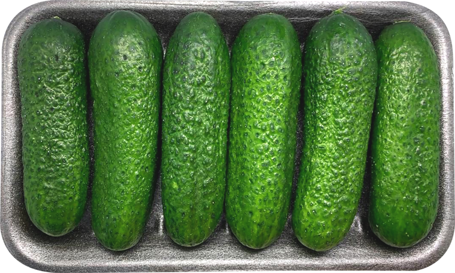 

Огурцы короткоплодные пупырчатые, 450 г