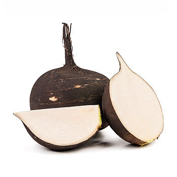 Редька чёрная