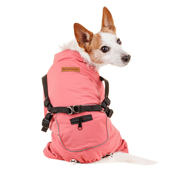 Комбинезон со шлейкой для собак M малиновый (девочка)