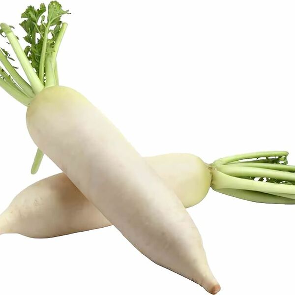 Редис Дайкон