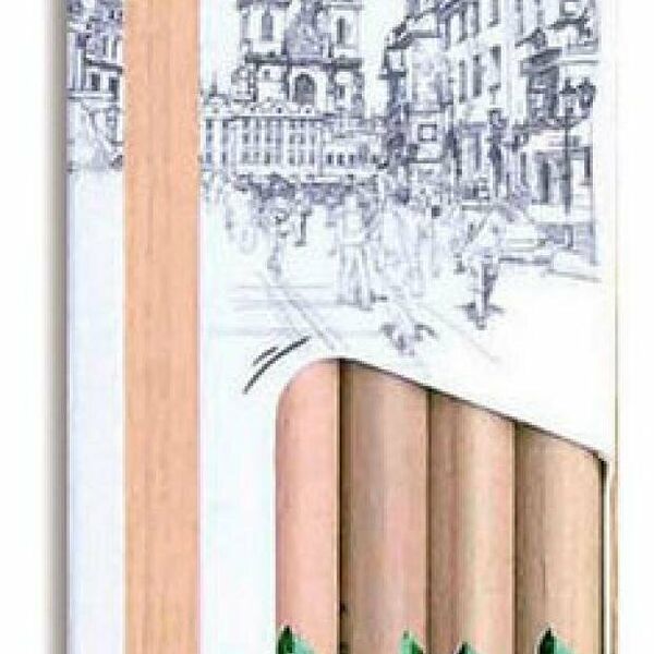 Карандаши чернографитовые Acmeliae без ластика HB, 12 шт