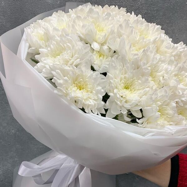 Белоснежный букет хризантем