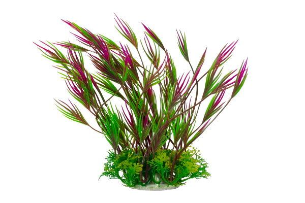 Растение для аквариума HOMEFISH Кринум пластиковое с грузом, 22 см