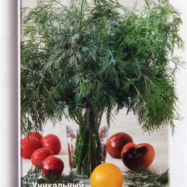 Укроп Салют Поиск