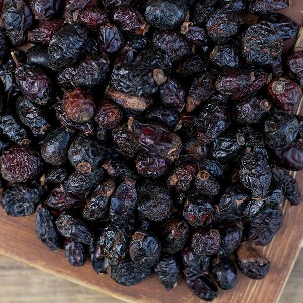 Шиповник горный Таджикистан на развес