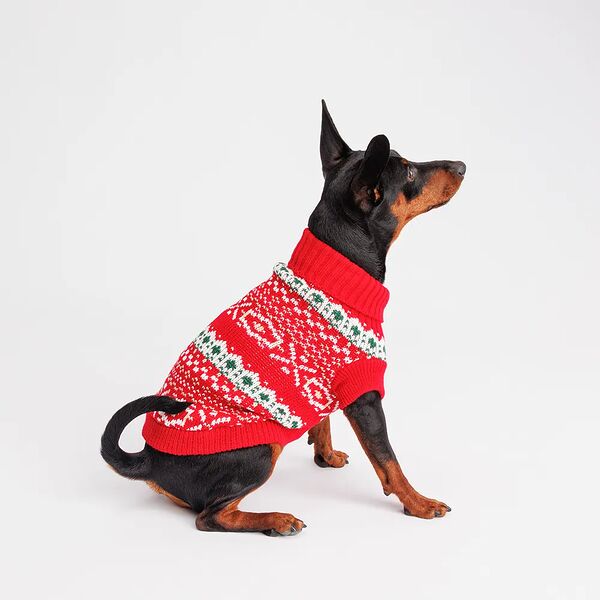 Свитер с узором для собак Petmax S, красный