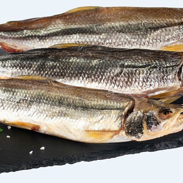 Корюшка Океан с головой вяленая 500г