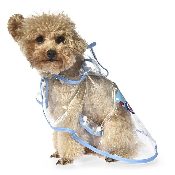 Дождевик для собак FOXIE Rain S (длина спины 30см) прозрачный голубой