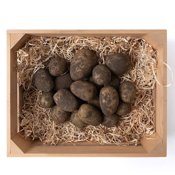 Картофель «Наша Ферма»