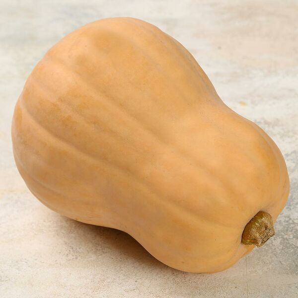 Тыква грушевидная Баттернат вес