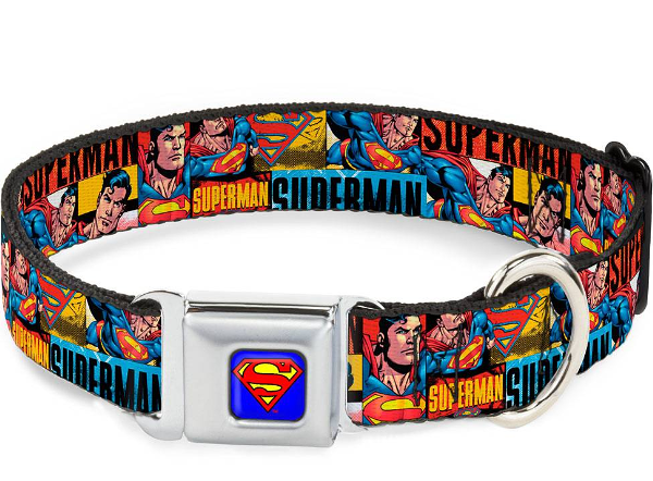 Buckle-Down ошейник 