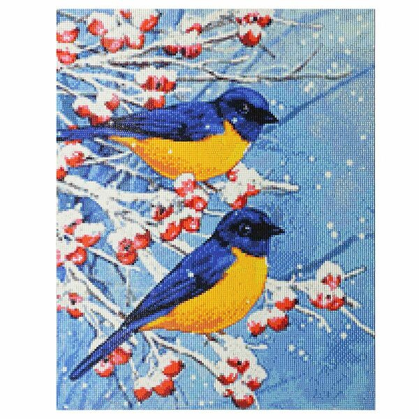 Cr 450049 Алмазная мозаика 'Птицы', 40*50см, Cristyle
