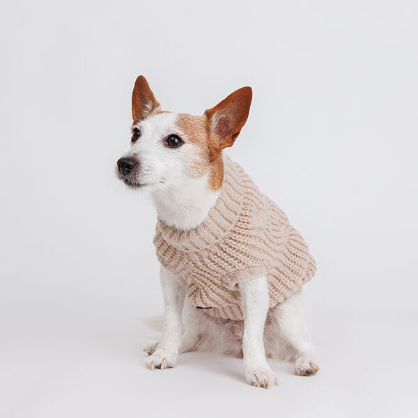 Свитер для собак, L, бежевый с узором