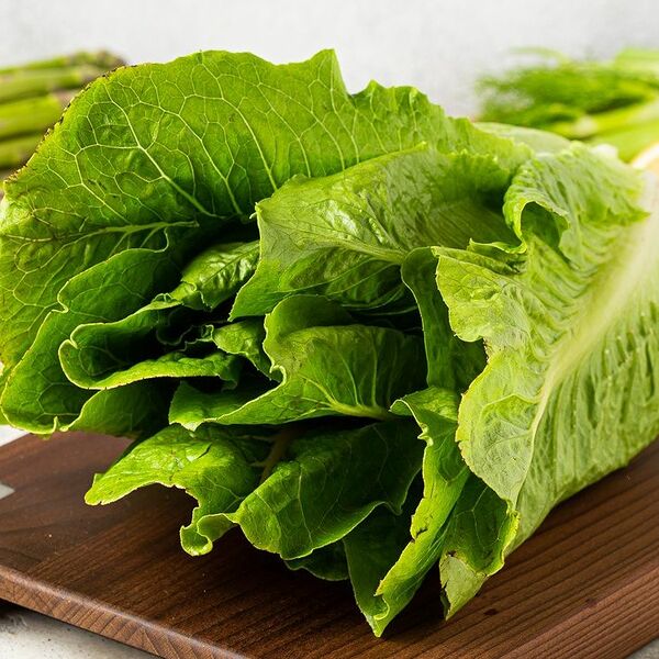 Салат-латук Ромэн