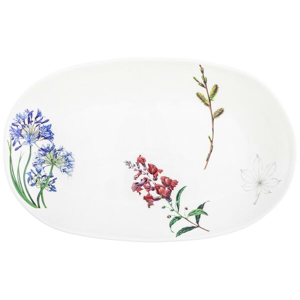Блюдо Elan Gallery Ботанический атлас, 28.5х17x3 см, фарфор