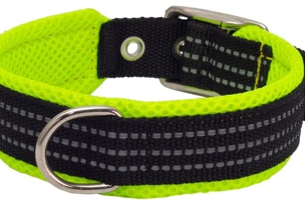 Каскад ошейник нейлоновый с мягкой подкладкой 27-35 см., Зеленый