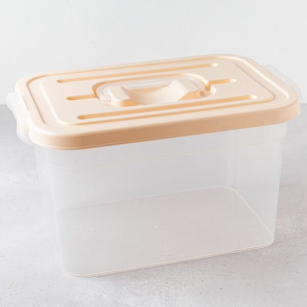 Контейнер для хранения  на защелках 31*20*18см, 6,5л