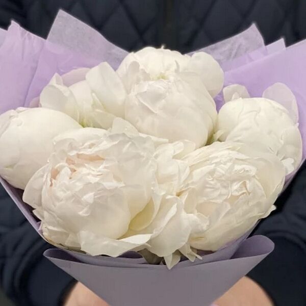 Букет из 7 белых пионов