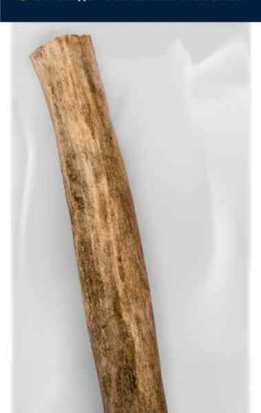 Лакомство для собак Погрызухин Рог северного оленя XS, 1 шт.