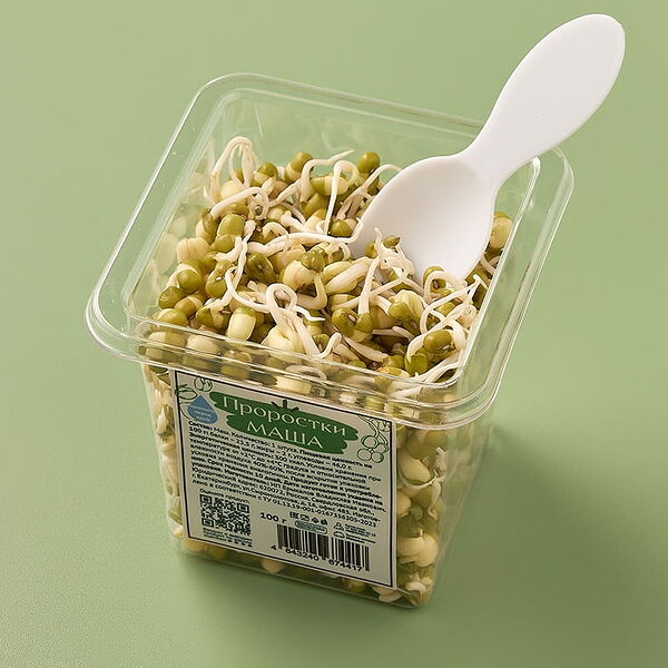 Проростки Маш в стакане